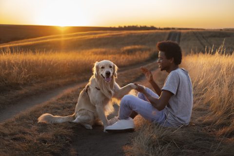 Pet Friendly Care Services